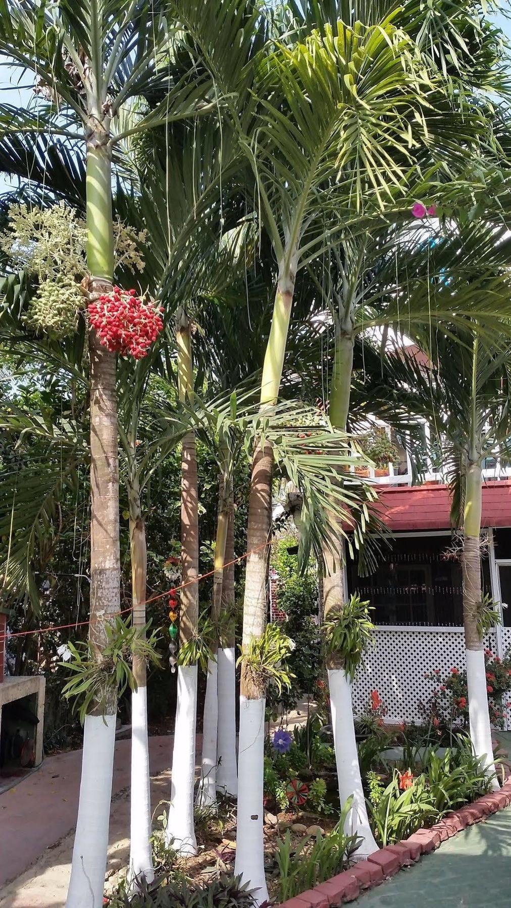 San Andres Ultd Inn Rnt # 30017 Exterior foto